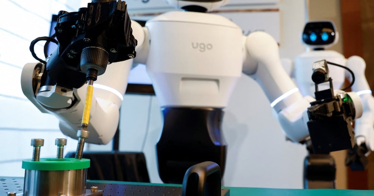 El robot D1 debutó en un hospital de Nagoya como guía de visitantes y mozo de comedor
