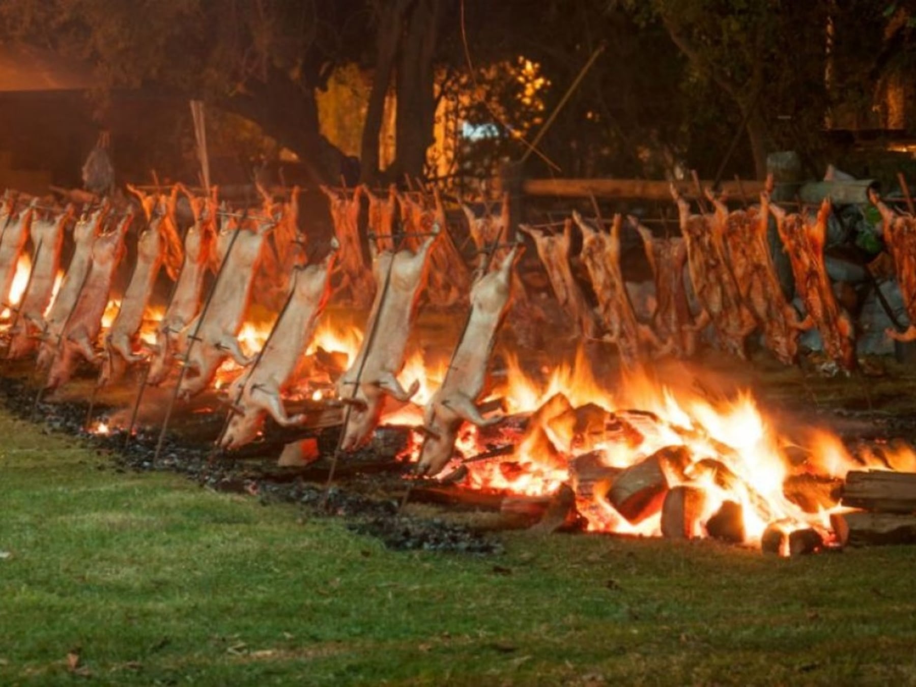 Cuatro fines de semana largos no se pasan en casa: la ruta gastronómica de Buenos Aires para octubre