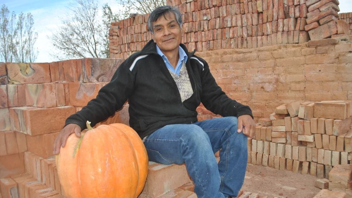 Mariano Moreno vuelve a apostar al zapallo gigante y regala semillas para que cualquiera arme su huerta