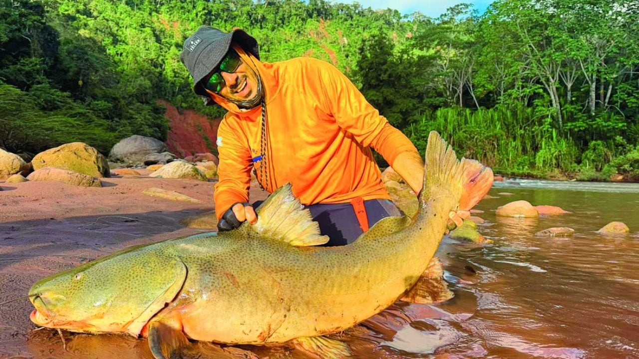 Tambaquí, pacú y manguruyú: una semana de pesca con devolución en la Amazonía boliviana