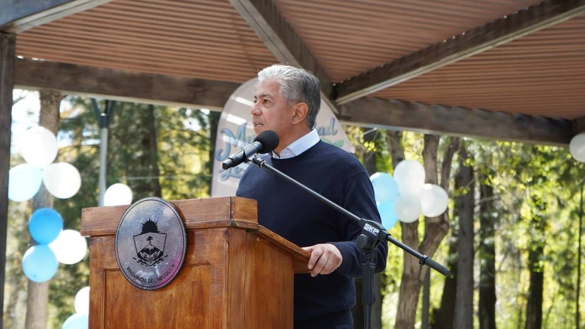 Neuquén propone una tarifa de luz con 30 por ciento de descuento para los hogares