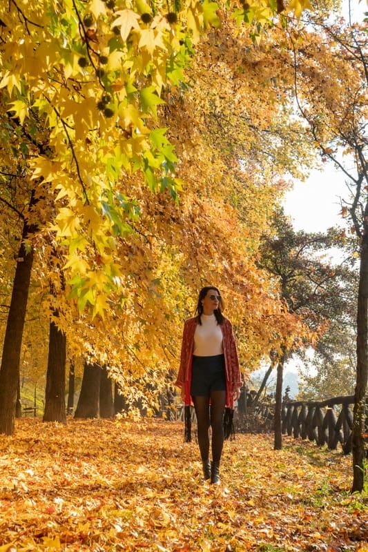 Otoño europeo: doce capitales para recorrer sin multitudes y a ritmo del clima
