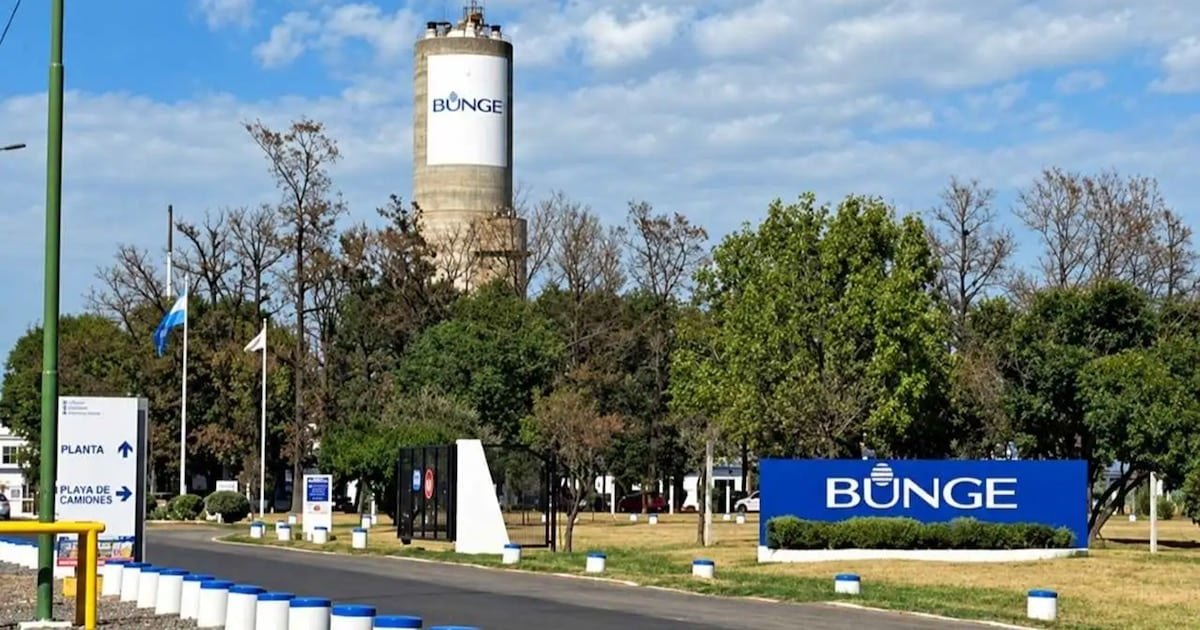 Campana: cesa la producción química de una planta y quedan afectados 110 empleos